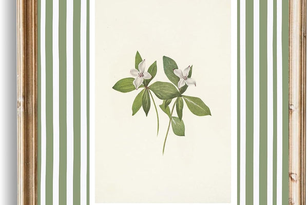 Wall Decor
