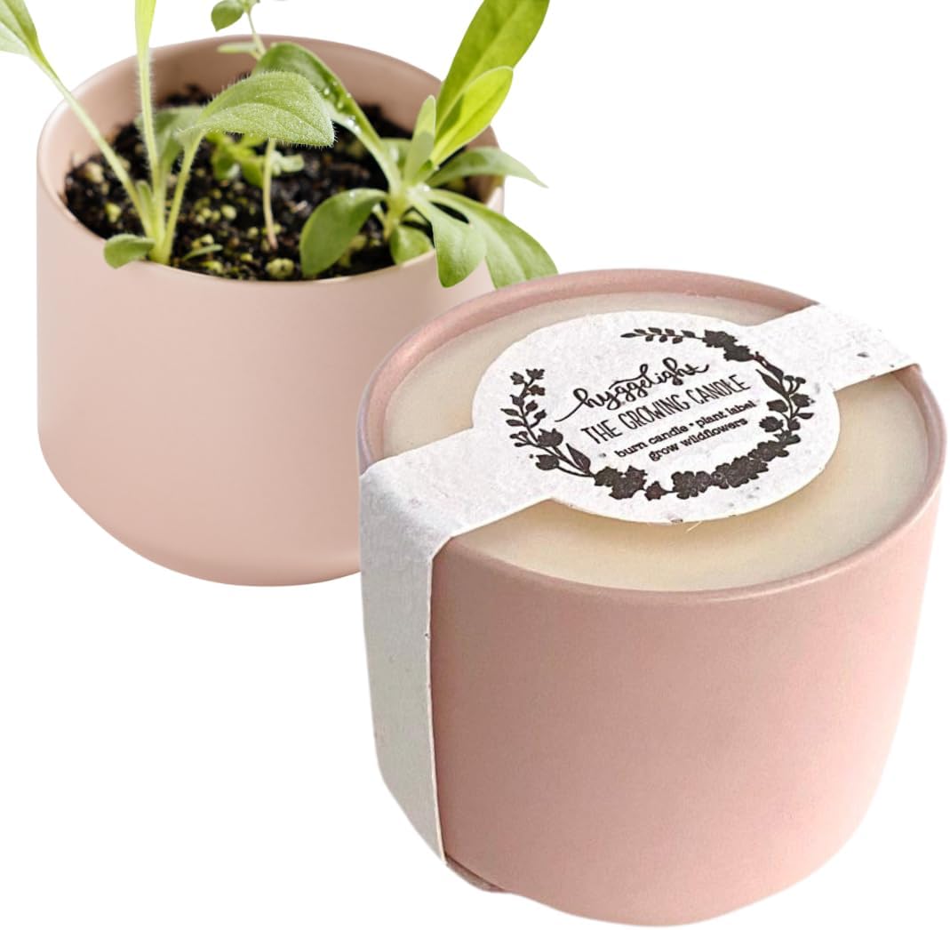 Hyggelight - The Growing Candle, Mint & Eucalyptus Scented, 8oz Ceramic Pot, Aromatherapy Candles, 100% Soy, Adelyn