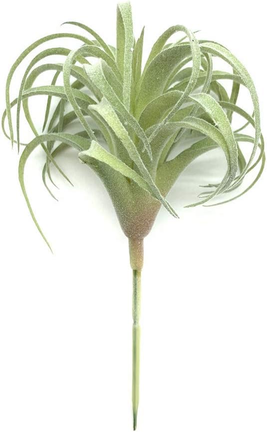 2 PCS Artificial Succulents Plants Real Touch Lifelike Succulants Plants Faux Greenery Plants Garden DIY Home Office Decoration Ornament (Flocking Air Plant)