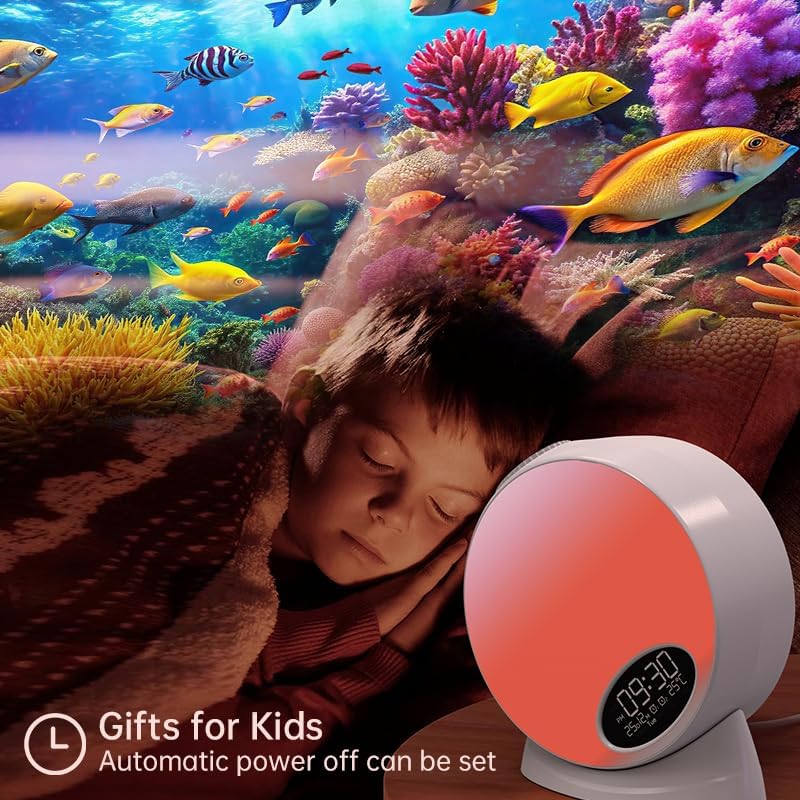 Galaxy Projector, Planetarium Star Projector,Bedroom Night Light and Timer,with White Noise,4K Replaceable 13 HD Galaxy Discs,for Space Projector for Kids Adults Bedroom Decor Birthday Gifts