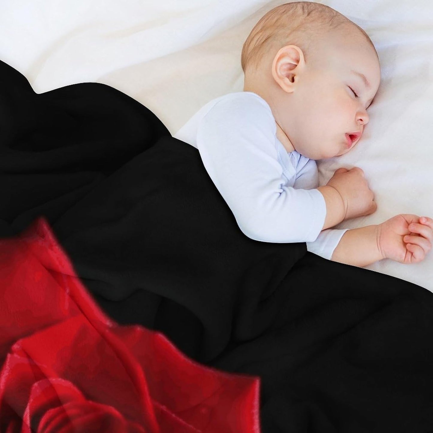 Red Rose Black Background2 Blanket Super Soft Lightweight Throw Blanket Cute Cozy Warm Bed Blanket Decorative Fuzzy Blanket All-Season Home Decor Gift for Sofa Couch Living Room 60"*80"(150 * 200cm)