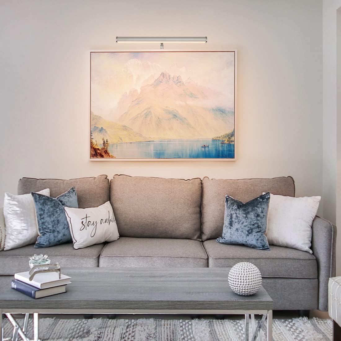 LED Picture Lights for Paintings Plug in, 14 inch 4W Adjustable Art Light Gallery Wall Light for Display Art Work, Brushed Nickel Finish, CRI90+, 3000K Warm White, ETL Listed