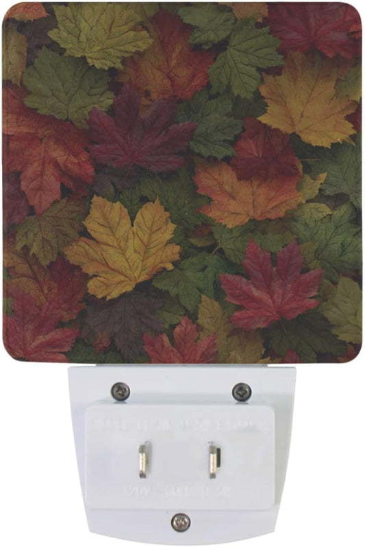 Pfrewn Autumn Colorful Maple Leaf Night Light plug in Set of 2 for Kids Adults Boys Girls Babies,Retro Fall Sunflower Night lights Led Auto Motion Senor for Reading Bathroom Bedroom Nursery Decorative