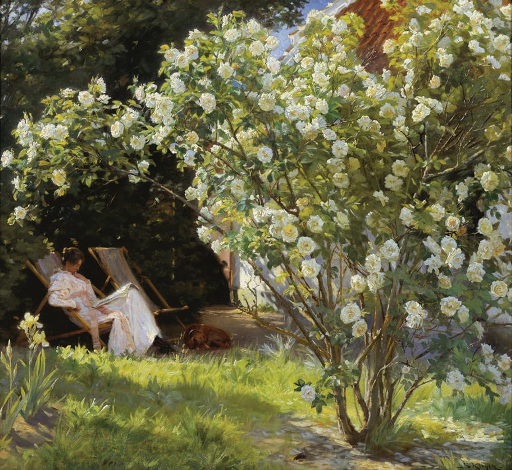 Roses Woman Seated in the Deckchair in the Garden Reading 1893 Impressionism Painting By Peder Severin Kroyer 22"X24" Image Size on CANVAS Fine Art Print Poster Shipped Rolled-up