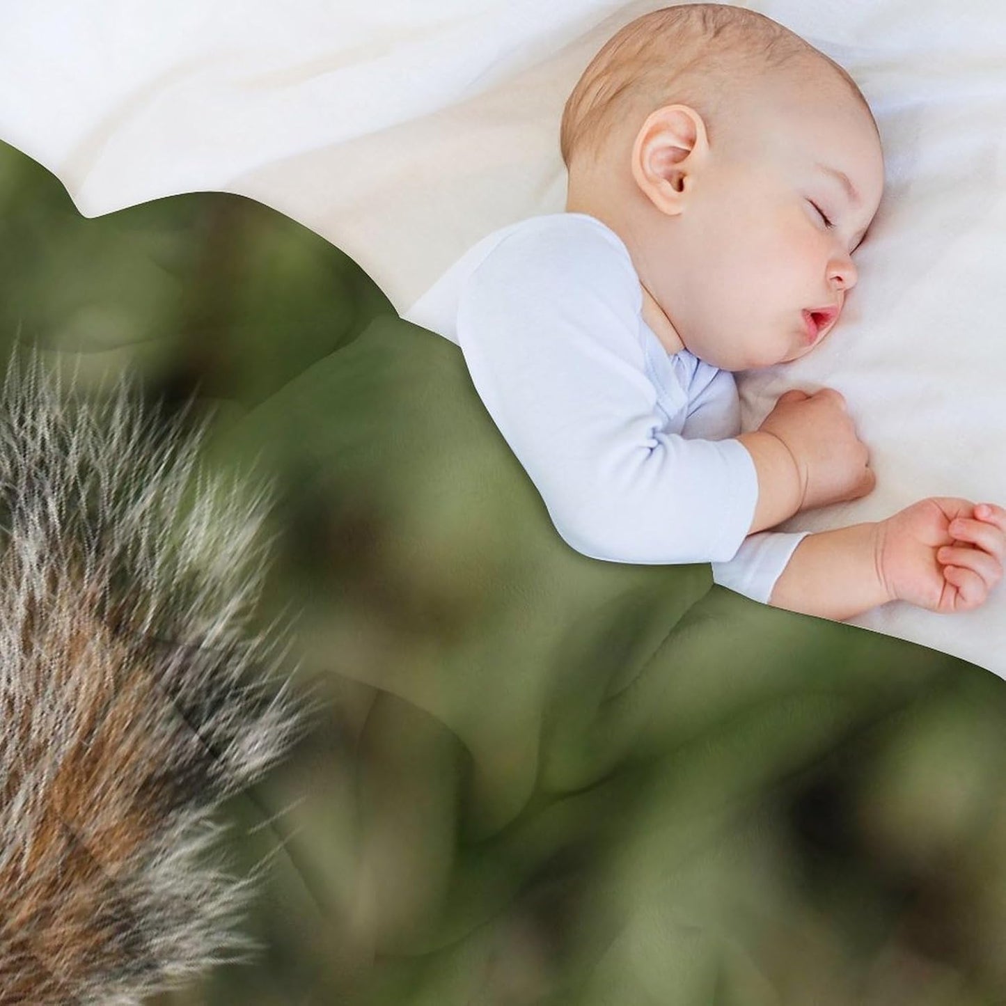 Squirrel Throw Blanket for Couch Super Soft Warm Lightweight Throw Blankets Cozy Flannel Bed Blanket Cute Decorative Blankets for All Seasons Home Decor Gift 60"*80"(150 * 200cm)