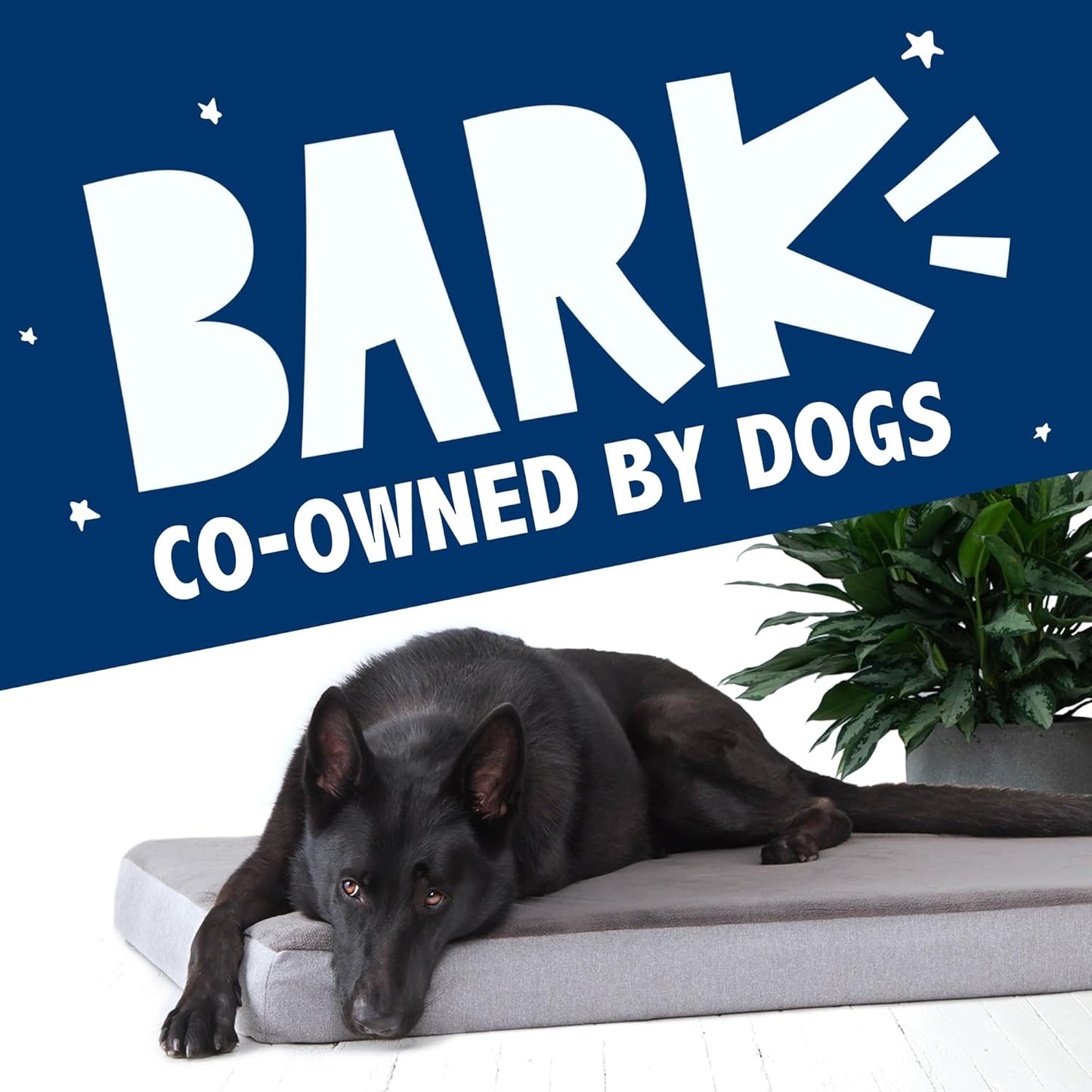 Barkbox Orthopedic Dog Bed with Memory Foam, Premium Comfort for Dogs and Puppies, Dog Beds for Joint Relief and Restful Sleep, Durable and Easy to Clean - Grey, Medium