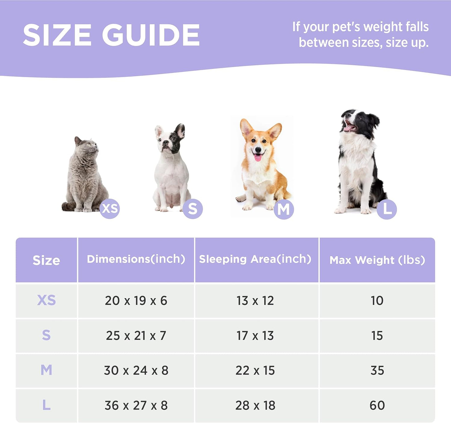 LE SURE Cute Dog Bed for Medium Dogs - Washable Pet Beds,Cozy Rectangle Orthopedic Sofa with Jacquard Shaggy Plush & Anti Slip Bottom,30x24x8inches