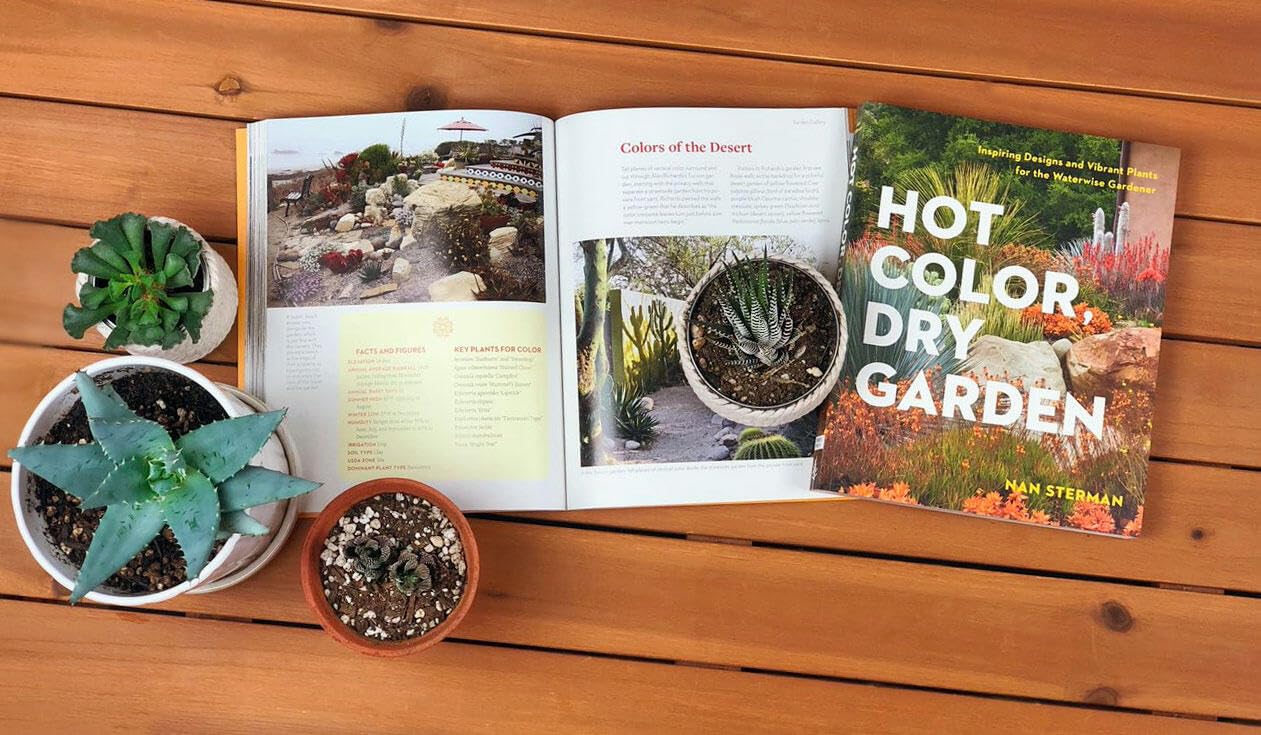 Hot Color, Dry Garden: Inspiring Designs and Vibrant Plants for the Waterwise Gardener