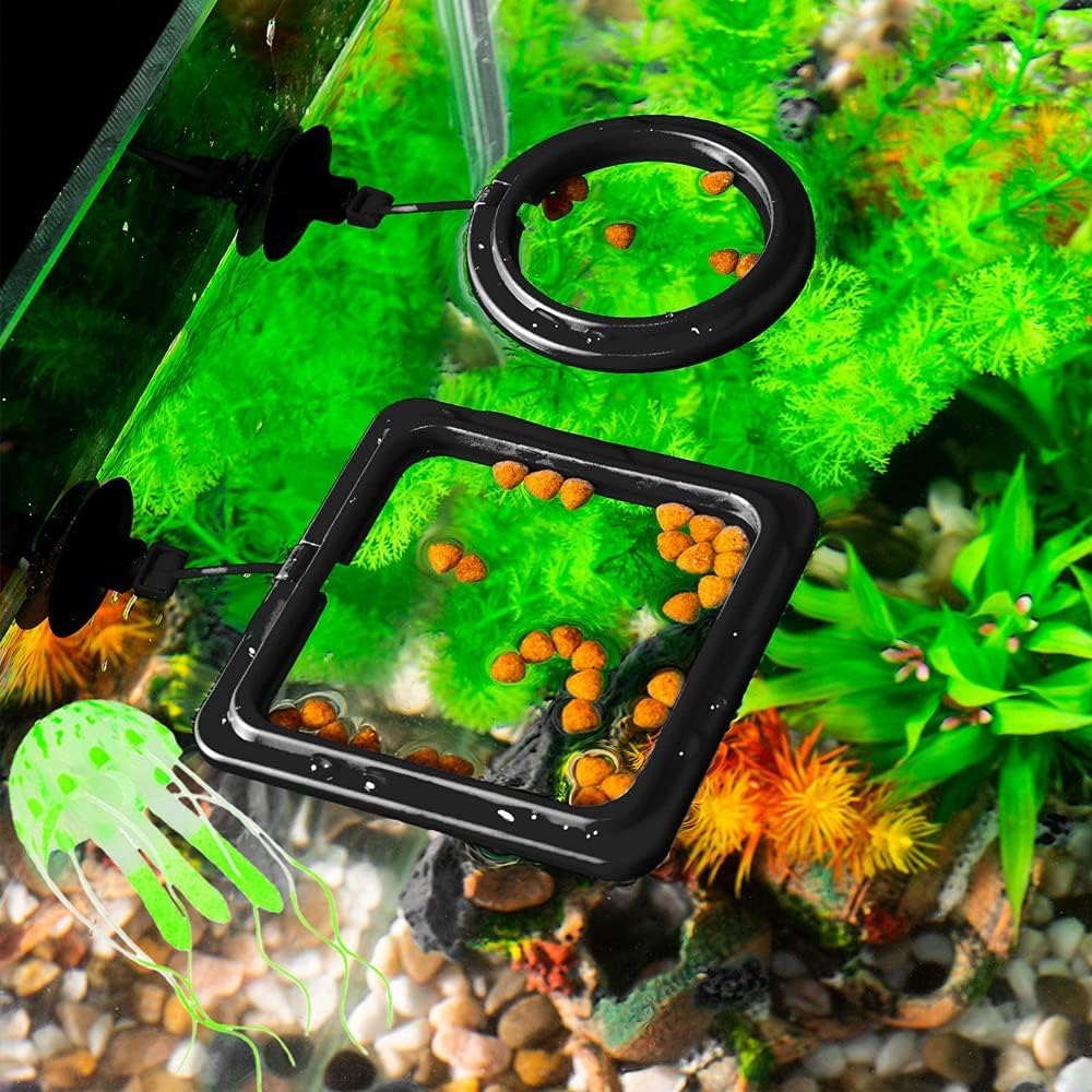2pcs Feeding Fish Ring Set, Fish Food Feeder +Thermometer Strip, Tank Decor, Aquarium Tank Accessories for Floating Foods, for Betta, Guppy, Goldfish Etc