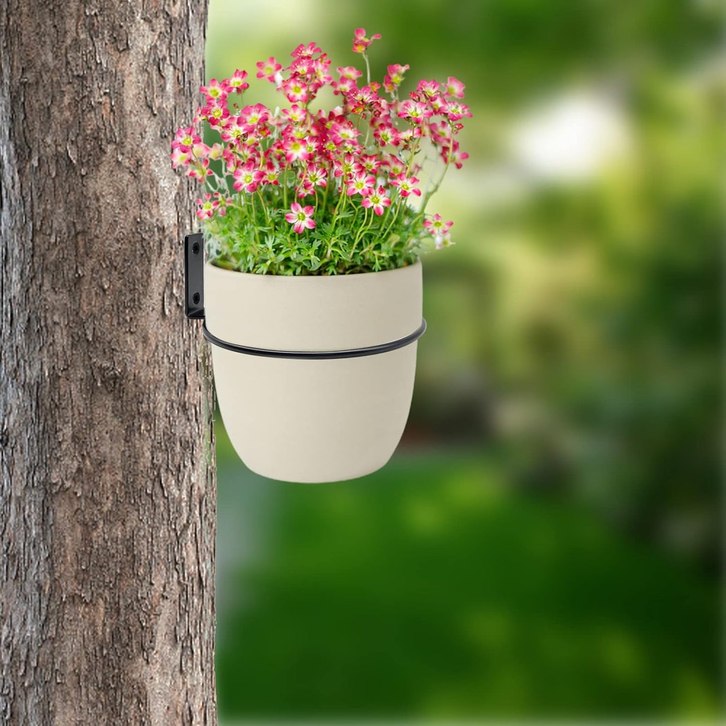 6 Pack 4 Inch Wall Flower Pot Holder Ring Plant Hanger, Metal Planter Hooks Wall Mounted Bracket Heavy Duty for Outdoor Indoor