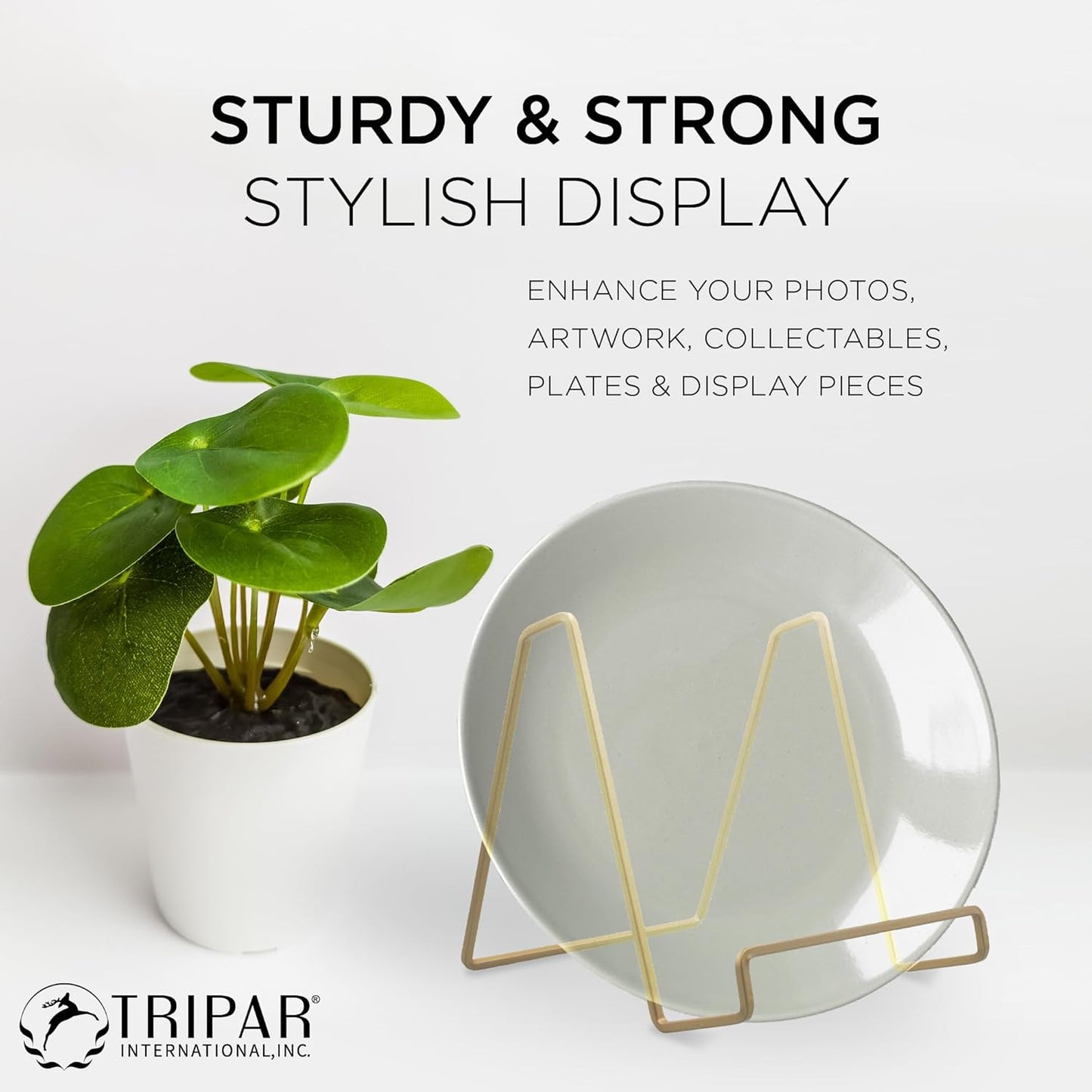 TRIPAR Square Metal Wire Stand, Gold Finish (2 Pack, 6-Inch Depth) - Tabletop Display - Handcrafted Edge Design For Sleek & Modern Look - Perfect for Kitchen Cookbooks, Plates, Photos & More