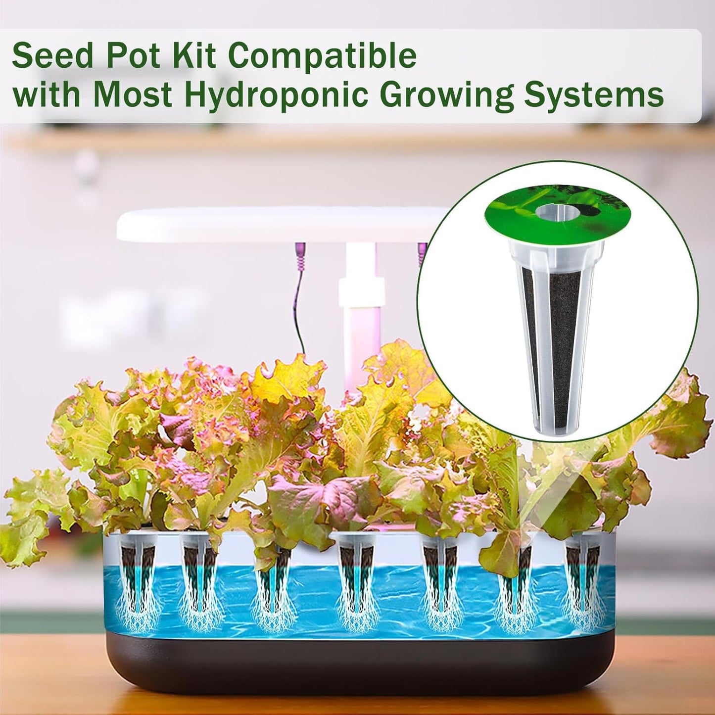 DECYOOL Garden Seed Pods, 48pcs Hydroponic Pods Kit:Grow Anything Kit with 12 Grow Baskets,12 Grow Sponges, 12 Pod Labels,12 Grow Domes