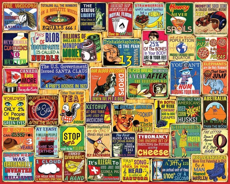 White Mountain 1000 Piece Jigsaw Puzzle for Adults Fun Vintage Collage Large Jigsaw Puzzle Gift for Seniors 24"x30" - Did You Know