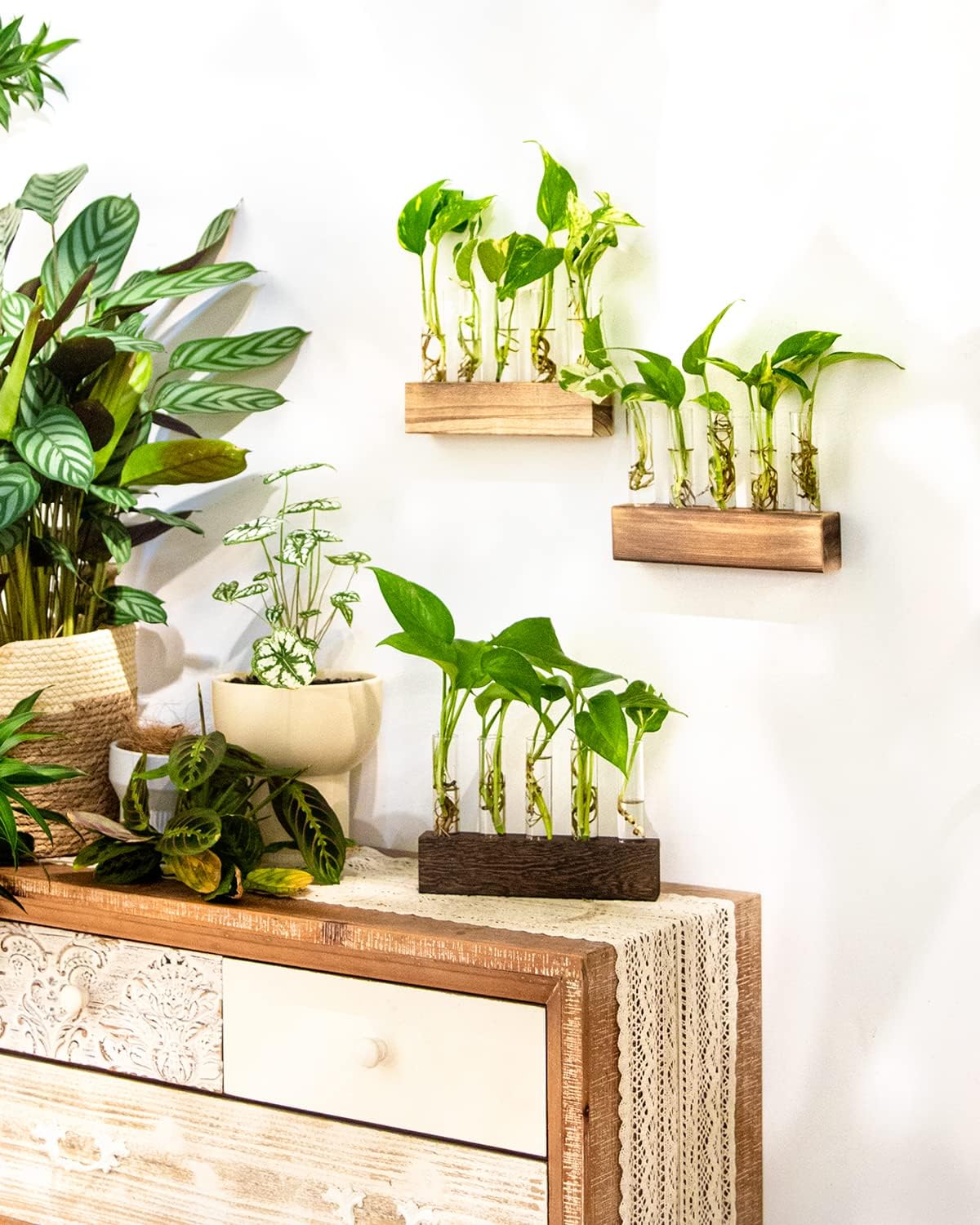 KAXYEW Desktop Glass Plant Propagation Station Test Tube Plant Terrarium in Wooden Stand for Hydroponic Plants Cutting Office Home Decoration Gift for Women (5 Test Tubes-BR)