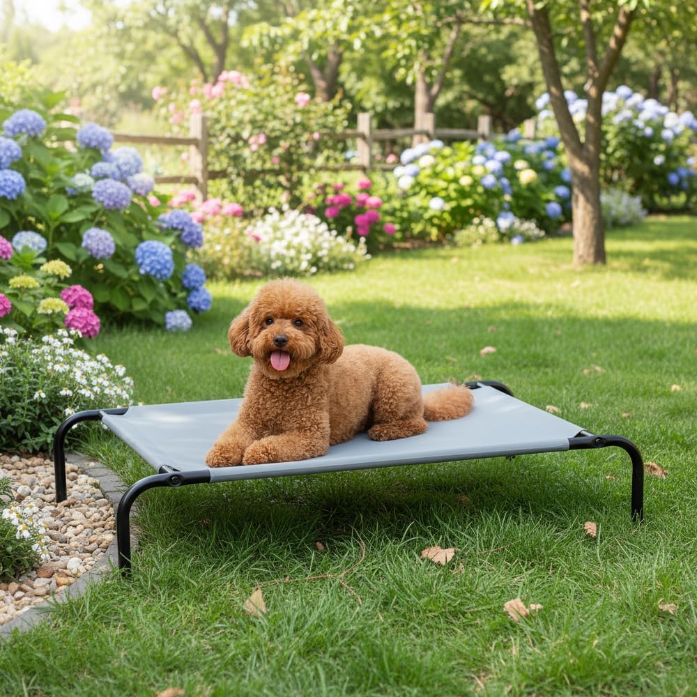 Amazon Basics Cooling Breathable Elevated Dog Bed with Durable Metal Frame, Medium, 43 x 26 x 7.5 Inch, Grey, Easy to Assemble