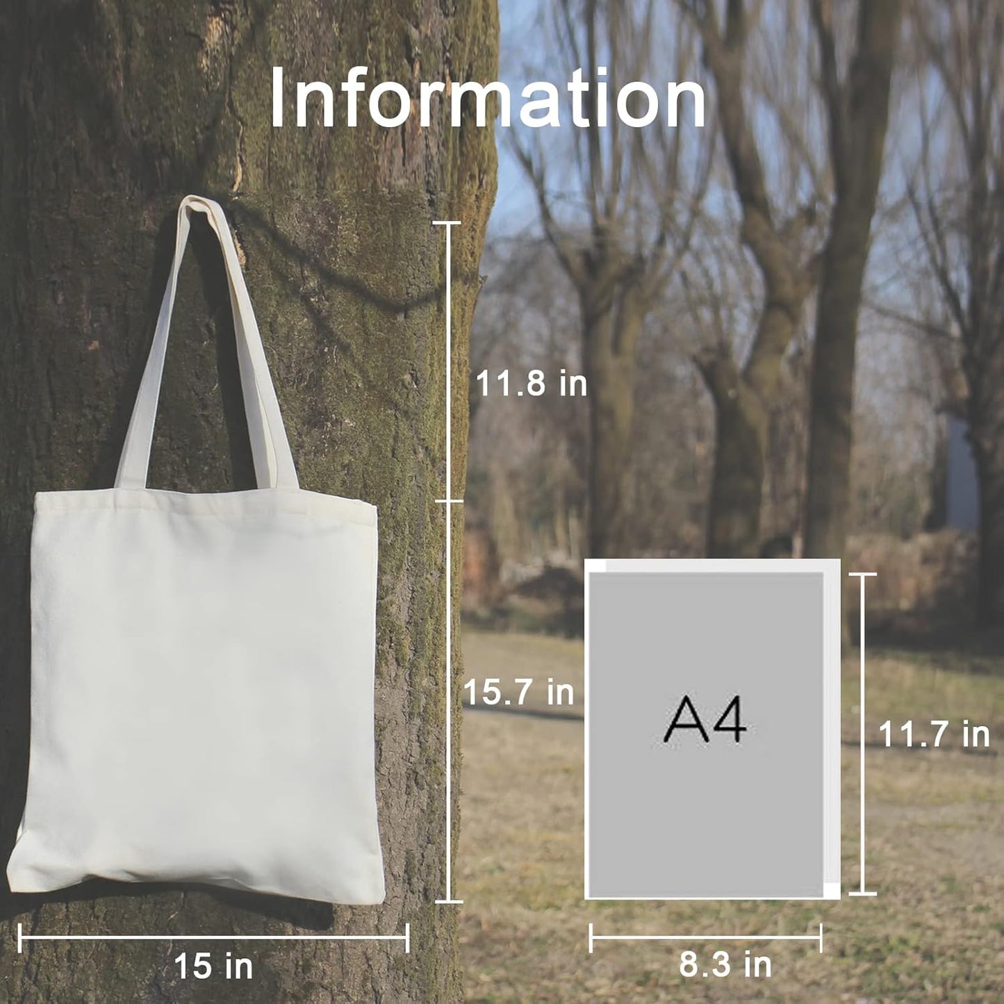 Haukea Aesthetic Canvas Bag with Inner Pockets - Cute Cloth Bags for Women - Book Tote - Reusable Graphic Cotton Bags