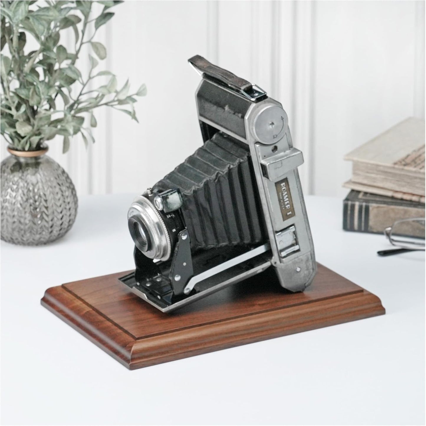 Plymor Solid Walnut Rectangular Wood Display Base with Ogee Edge, 8.875" W x 5.875" D x 0.75" H