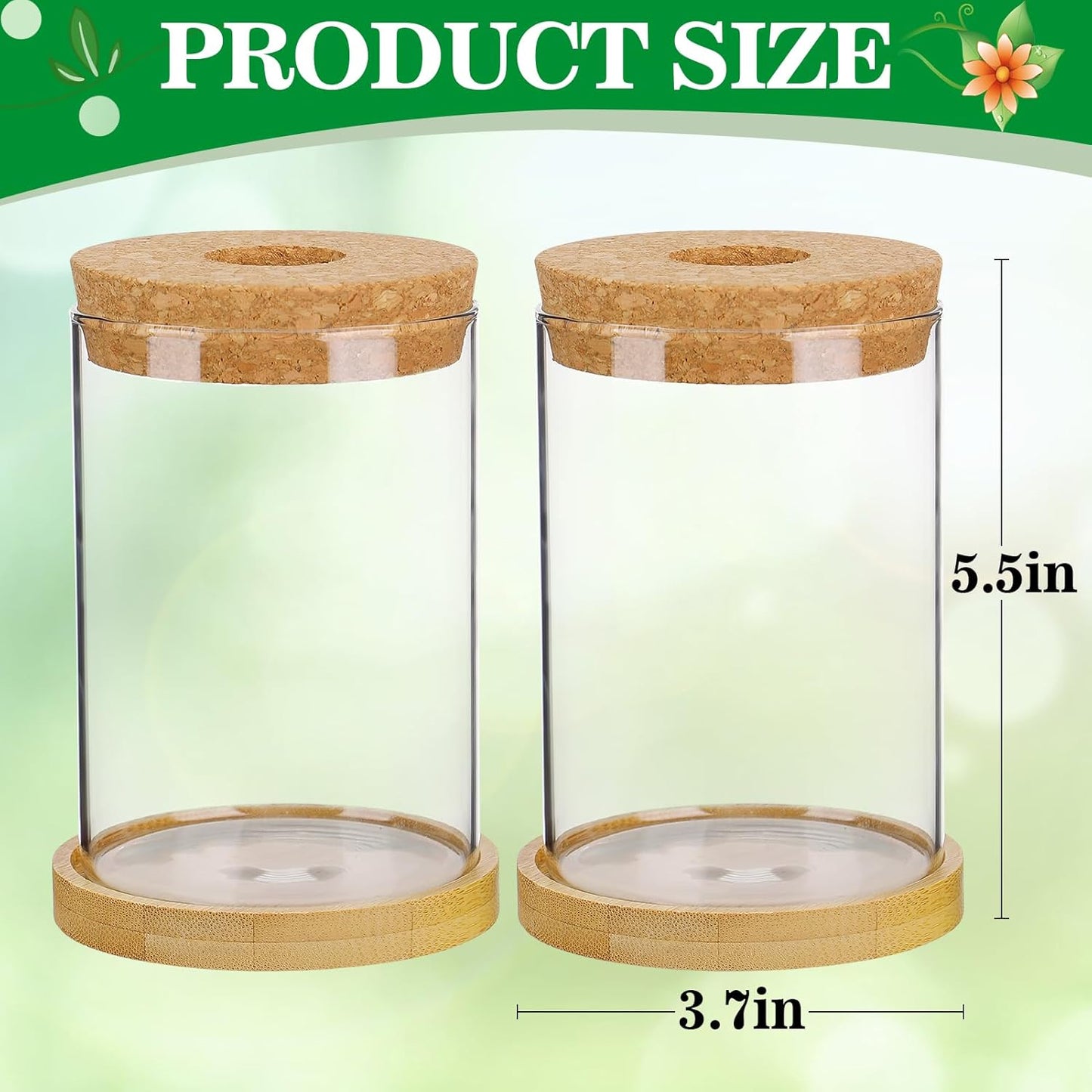 Biggun Plants Propagation Station - 2Pcs Desktop Plant Terrarium Glass Hydroponic Vases, Water Plant Jars, Gardening Gifts for Women Mom Plant Lovers (Thick Straight Shape, Separated Tray Style)