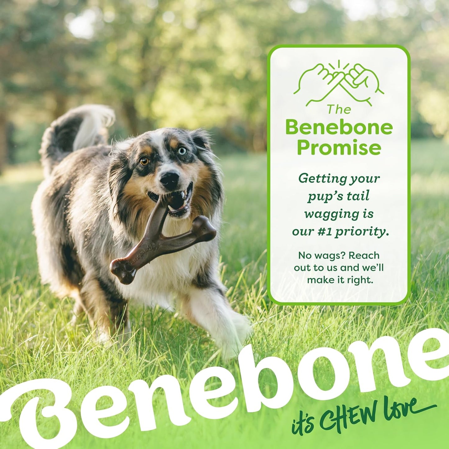 Benebone Wishbone Durable Dog Chew Toy for Aggressive Chewers, Real Chicken, Made in USA, Medium, for All Breed Sizes