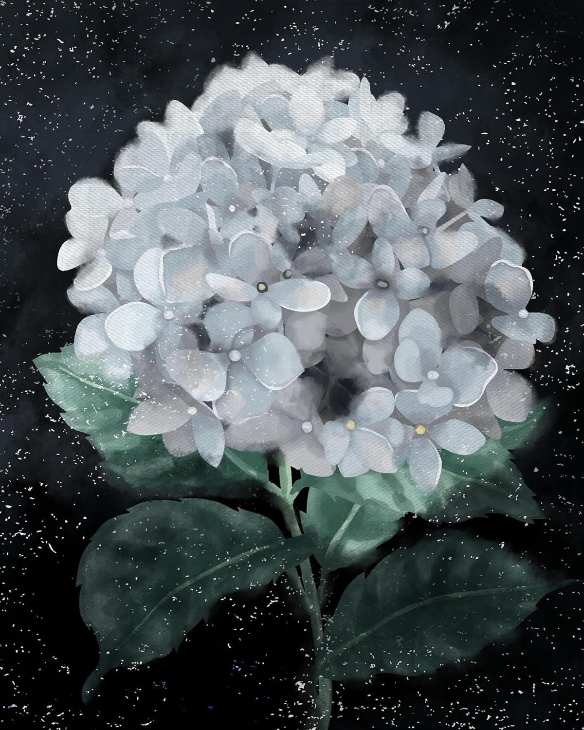 ZUKIY White Hydrangea Wall Art - 8x10 Unframed Botanical Print for Gold Frame Decor - Vintage Floral Artwork for Living Room Bedroom or Bathroom - Small Antique-Inspired Wall Art for Classic Spaces