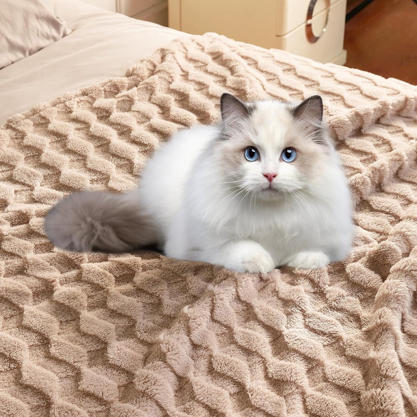 Checkered Fleece Throw Blankets-Cozy Fluffy Soft Lightweight Luxury Blanket for Travel, Sofa, Couch, Bed & Car, Gifts for Teen Girls, Women and Men, Home and Dorm Decor, Beige, 50" x 70"