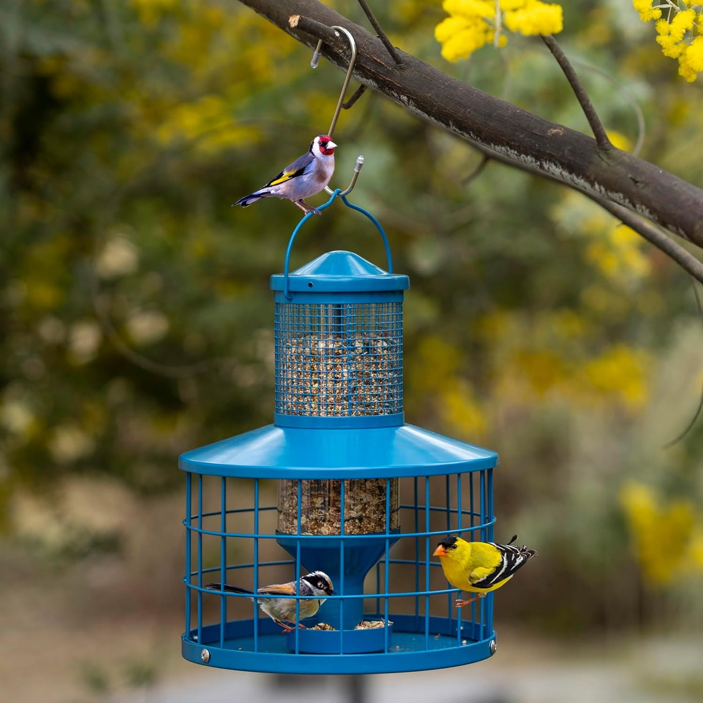 Caged Bird Feeders Squirrel-Proof, Metal, 2.8 Lbs Capacity-Cage Tube Seed Feeders with Tray Outdoor Hanging, Attract Birds,Detachable Cleaning, Starling Proof Wild Bird Feeder(Blue)