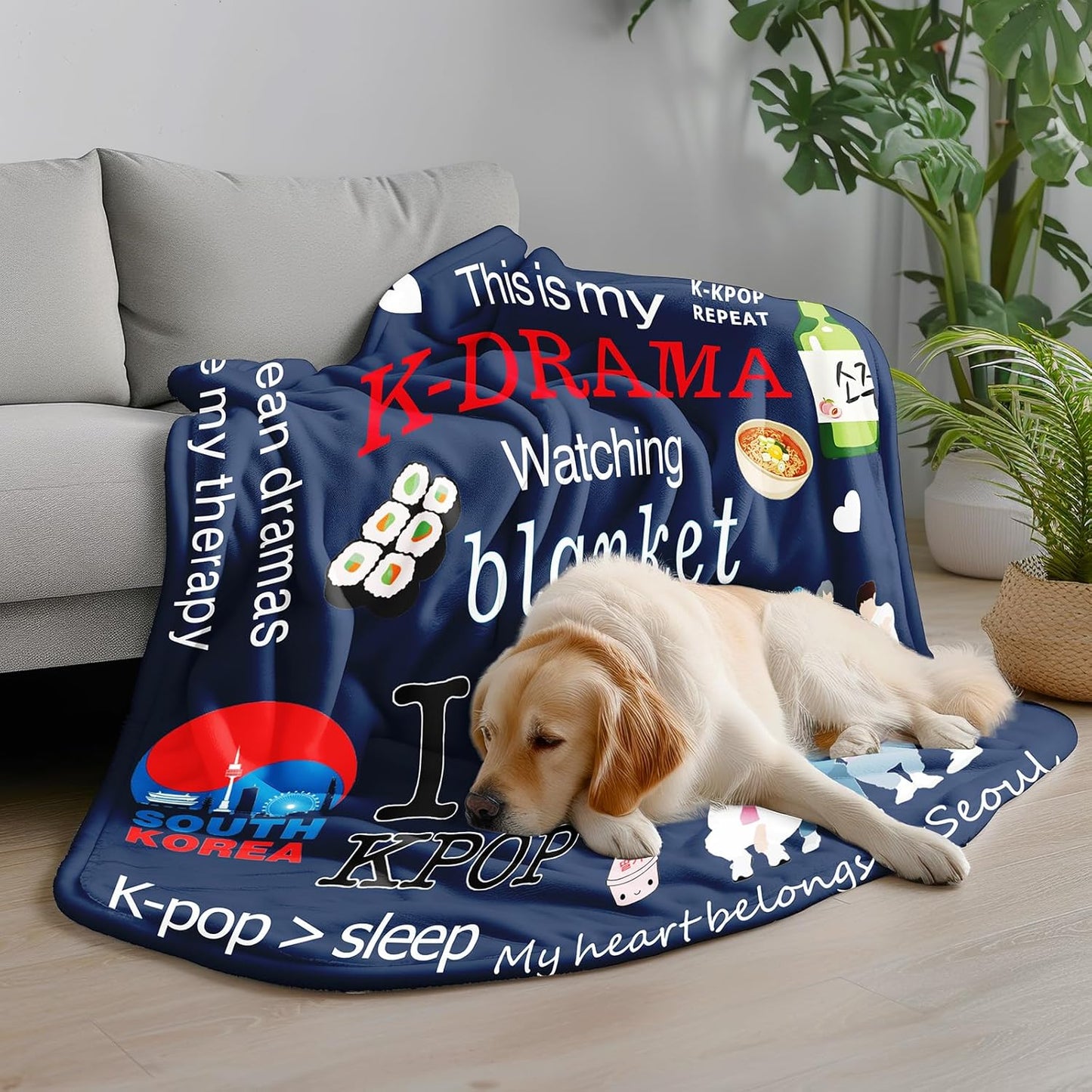 Korean Drama Blanket - Soft & Cozy Throw for Korean Drama Fans, Perfect for Binge-Watching, Kpop Lovers, Kimchi, Oppa, Korean Food, for Fangirls & Fanboys 50x40 inches