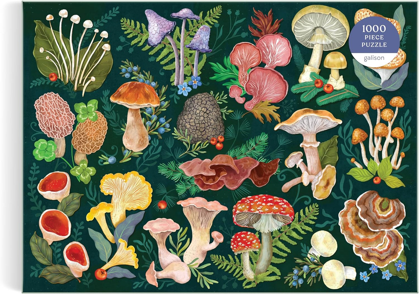 Galison World of Mushrooms – 1000 Piece Jigsaw Puzzle Featuring Beautiful Painted Artwork of A Mushroom and Fungi Collection
