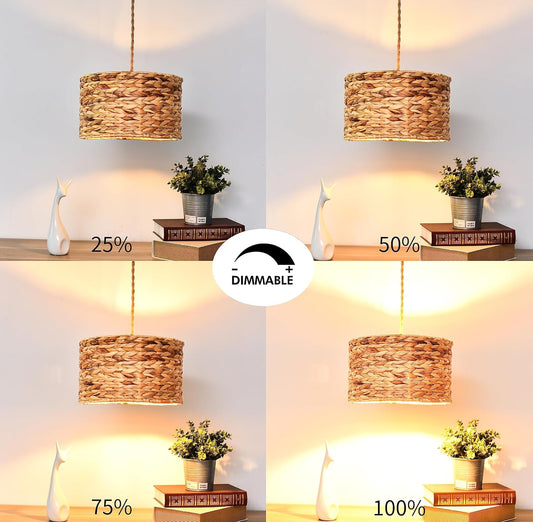 Rattan Plug in Pendant Light Boho Hanging Lights with Plug in Cord & Dimmable Switch,Indoor Hanging Lamp Plug in Wicker Woven Lampshade for Living Room Bedroom Dinning Island
