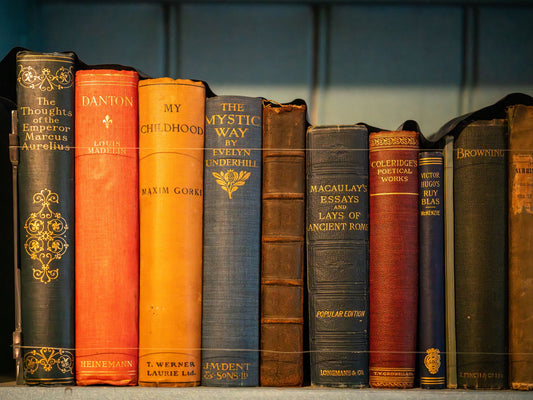 Organize My Books for Me: Best Bookshelves for Small Spaces
