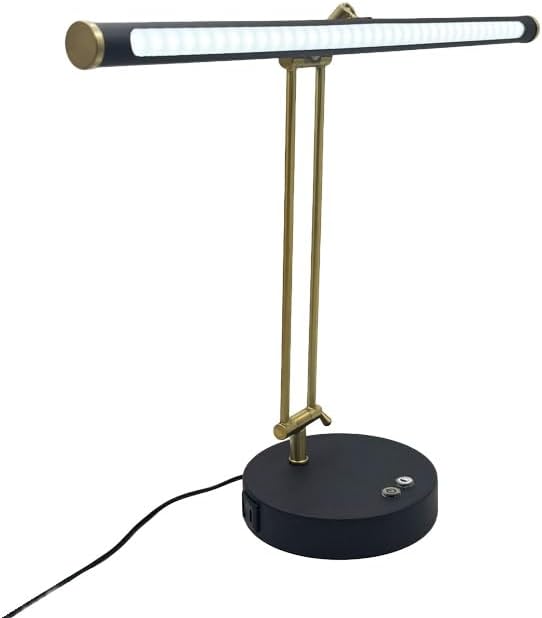 LED Piano Light with Swing Arm, Eye-Caring Paino Lamp, Professional Music Score Lamp,Reading Light,Adjustable Color Temperature & Brightness,Dual USB Charging Port,Desk Lamp for Piano Players(Black)