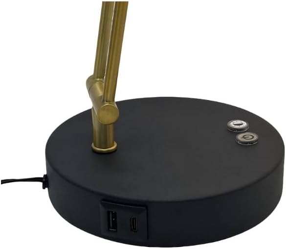 LED Piano Light with Swing Arm, Eye-Caring Paino Lamp, Professional Music Score Lamp,Reading Light,Adjustable Color Temperature & Brightness,Dual USB Charging Port,Desk Lamp for Piano Players(Black)
