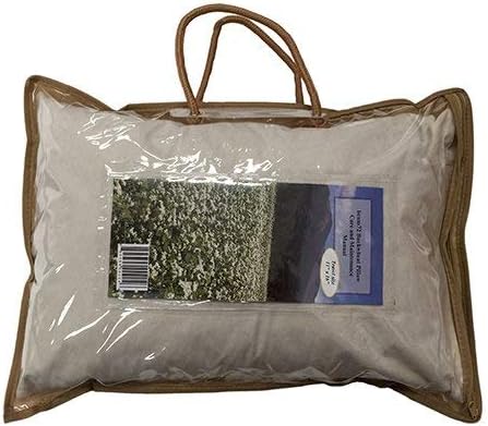 Beans72 Organic Buckwheat Pillow - Travel/ Child Size (11 inches x 16 inches)