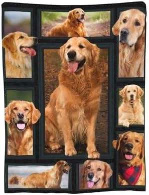 Cute Clever Golden Retriever Lovely Golden Dog Printed Ultra-Soft Throw Blanket Home Decorative Blanket for Living Room Bed Sofa