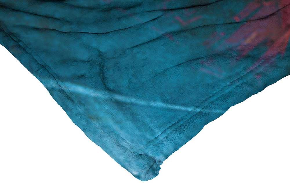 Northwest Harry Potter Silk Touch Throw Blanket, 50" x 60", Philosopher's Stone
