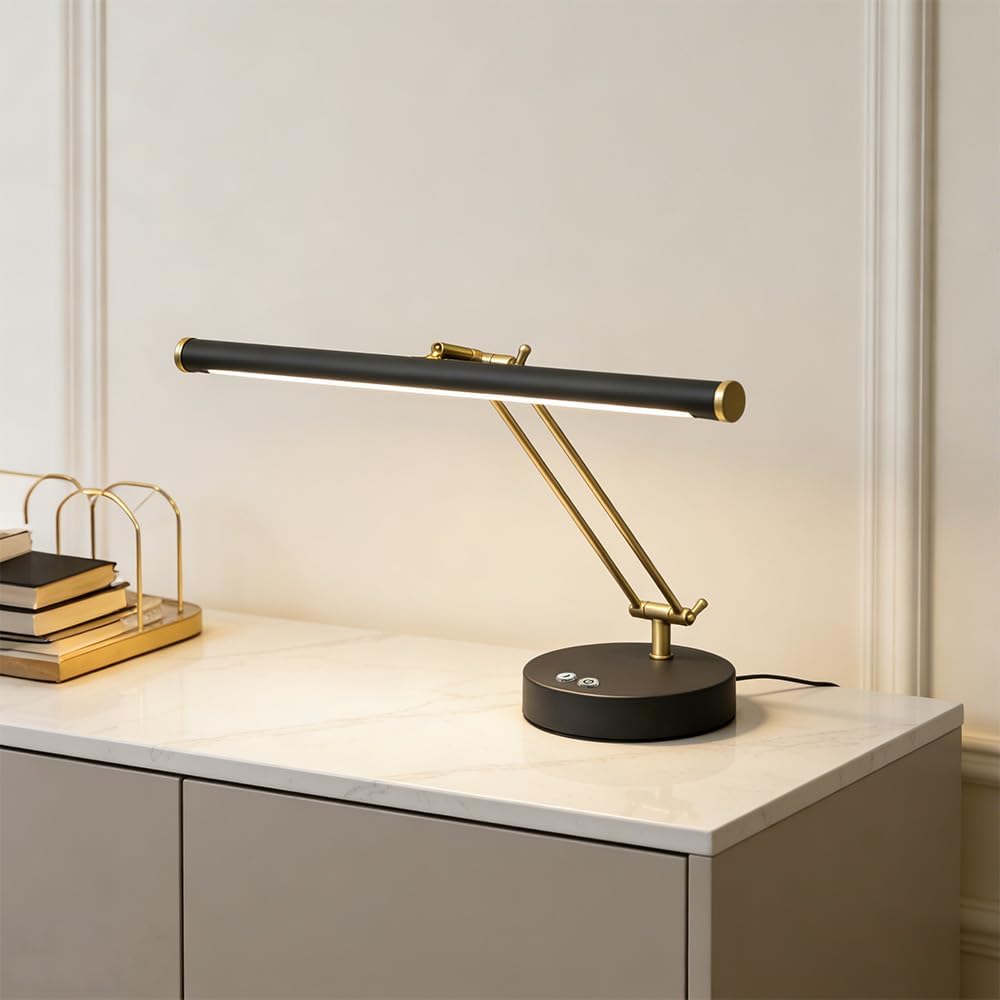 LED Piano Light with Swing Arm, Eye-Caring Paino Lamp, Professional Music Score Lamp,Reading Light,Adjustable Color Temperature & Brightness,Dual USB Charging Port,Desk Lamp for Piano Players(Black)