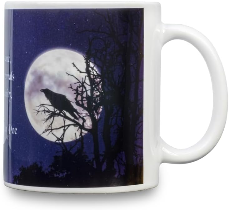 NoMonet Edgar Allan Poe gothic macabre coffee/tea mug with a memorable quote - I Became Insane with Long Intervals of Horrible Sanity - dark aesthetic, writer, literary genius, perfect for horror fans