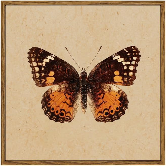 InSimSea Vintage Butterfly Square Canvas Wall Art, Antique Insect Wall Decor Paintings, Cottagecore Moth Artwork Pictures Prints Retro Home Decor for Living Room,Bedroom, Office 12"x12"