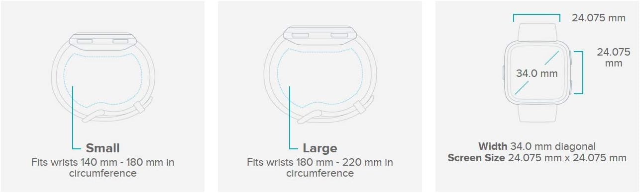 Fitbit Versa Smart Watch, Gray/Silver Aluminium, One Size (S & L Bands Included)