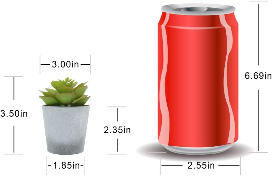 Artificial Succulents Set of 3 Mini Realistic Fake Plants with Plastic Pots for Home and Office Decoration, Including Aloe, Echeveria laui and Haworthia coarctata f. greenii, 4in (H) x 3.5in (W)