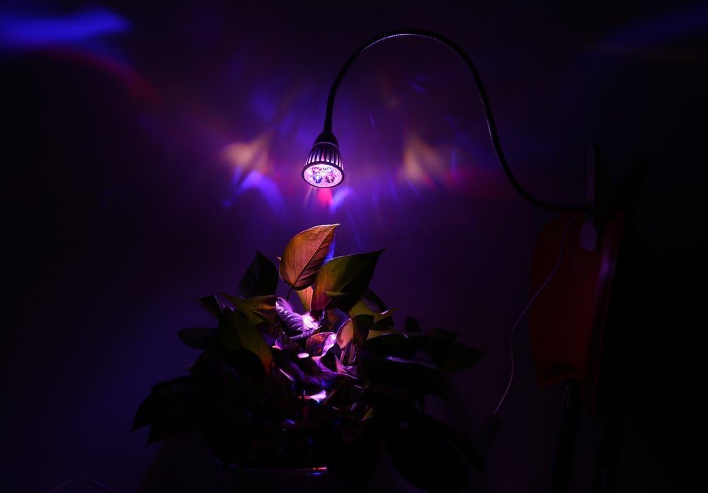 Wall Lights 5W Led Grow Light Full Spectrum with 5 LEDs Clip Desk Lamp Plant Light for Hydroponics Garden Greenhouse Plant Cn Plug
