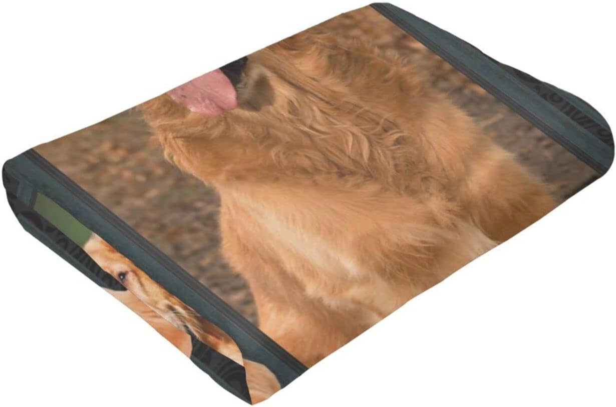 Cute Clever Golden Retriever Lovely Golden Dog Printed Ultra-Soft Throw Blanket Home Decorative Blanket for Living Room Bed Sofa