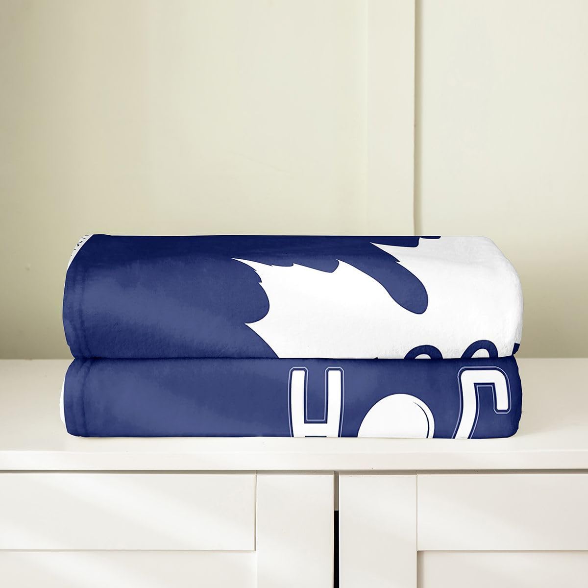 Feelyou Ice Hockey Fleece Throw Blanket Ice Hockey City Flannel Blanket Plush Fuzzy Throw 50"x60" Gifts for Men Women Boy Lacrosse for Bed Couch Chair Living Room Winter Sports Modern Fashion