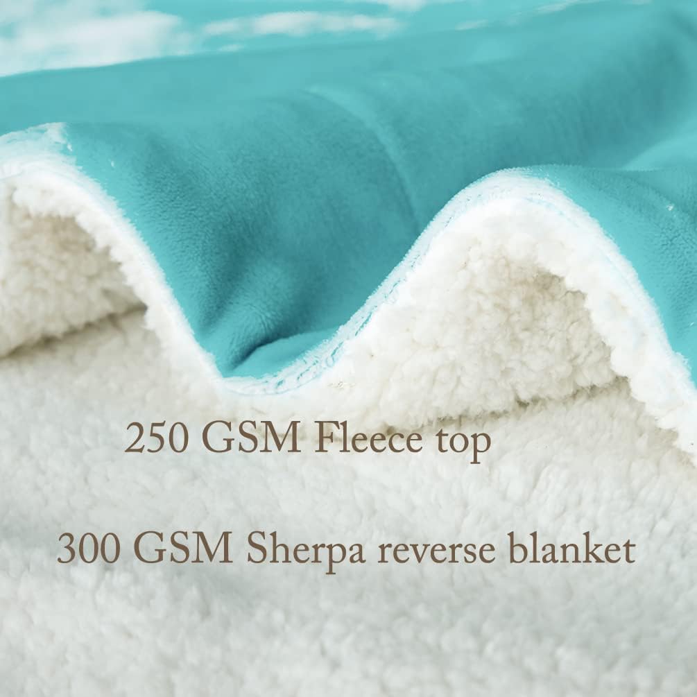 LBRO2M Sherpa Fleece Bed Blanket King Size,Super Soft Fuzzy Plush Warm Cozy Fluffy Microfiber Couch Throw Velvet Double Reversible Luxurious Blankets (Turquoise, King(90x104 Inches))