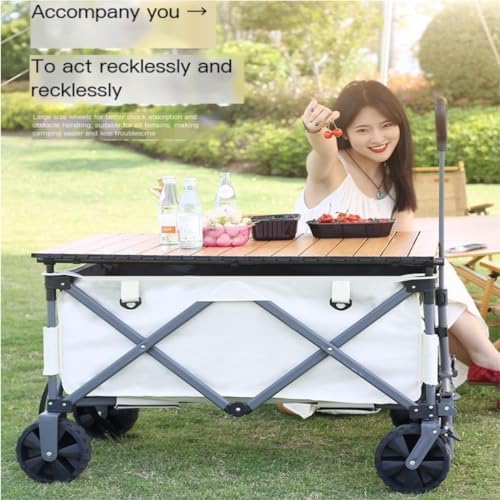 Portable Camping Cart,Portable Foldable Beach Camping Shopping Cart Outdoor Picnic Tool Trolley Cart