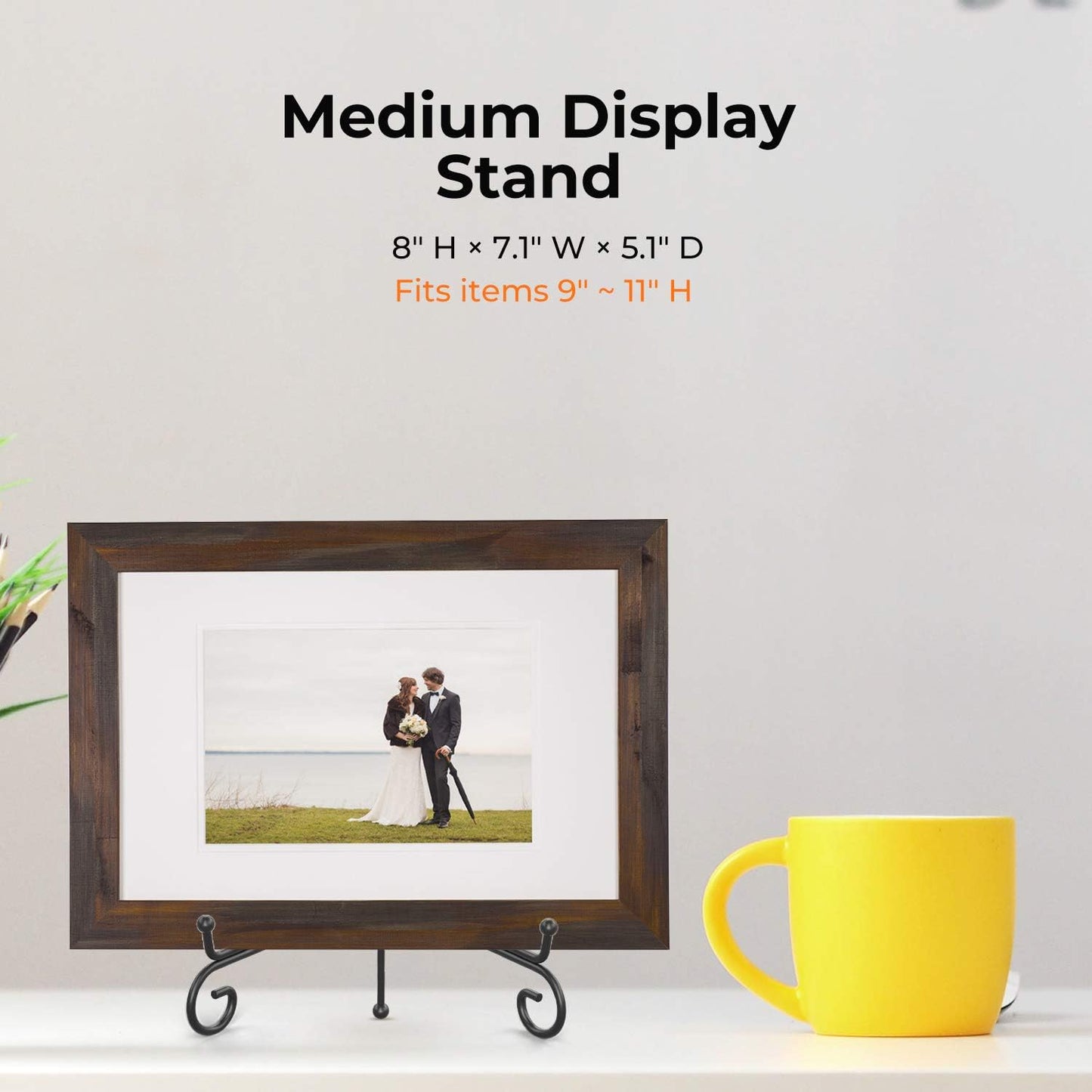 TR-LIFE Plate Stands for Display - 8 Inch Plate Holder Display Stand + Metal Easel Stand for Picture Frame, Decorative Plates, Book, Photo, Collectibles (2 Pack)