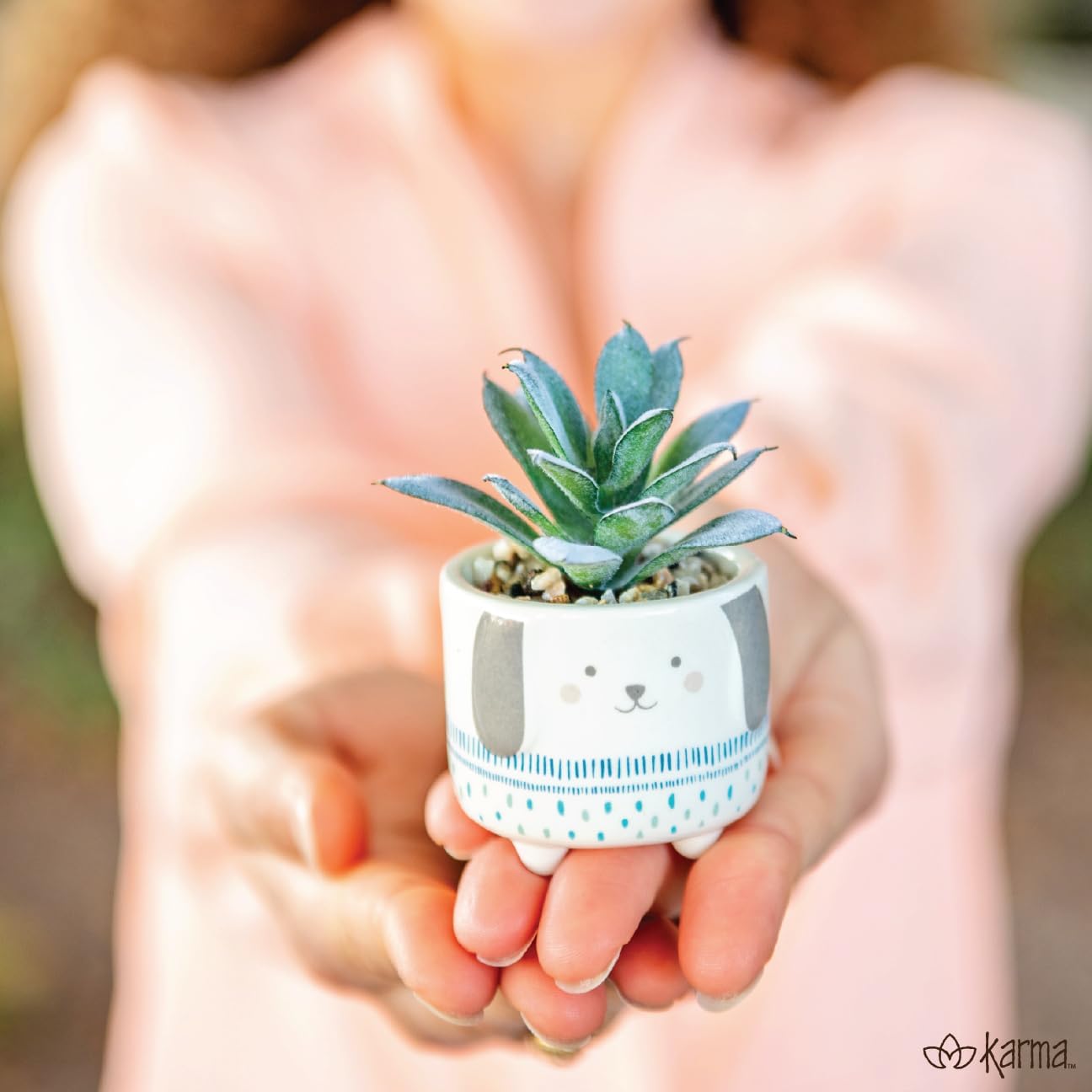 Karma, Shaped Artificial Succulents in Ceramic Pot, Faux Mini Succulent Plant, Desk Decor, Office Plants - Books