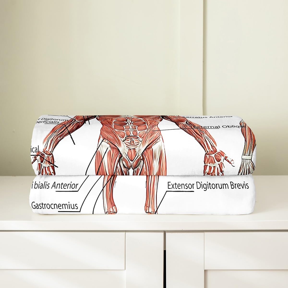 Human Anatomy Fuzzy Blanket Complete Diagram Different Organs Flannel Fleece Throw Blanket for Sofa Couch Kids Body Structure Cell Life Diagram All Season Bed Blanket White Plush Blanket Queen 90"x90"