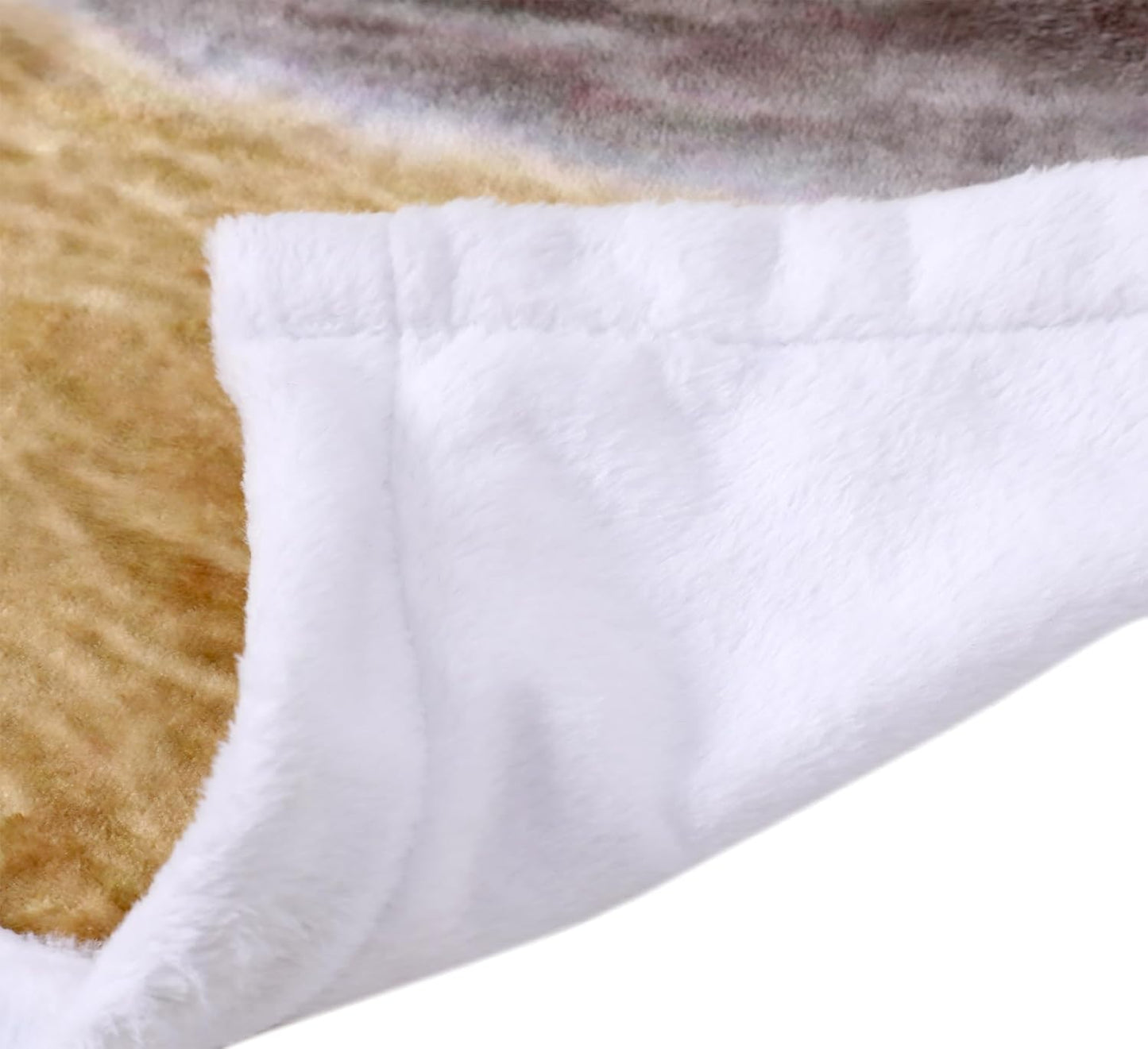 Golden Retriever Pattern Blanket 3D Dog Fleece Throw for Kids and Adults Super Soft Flannel Puppy Gifts for Pet Lovers Couch Bed Sofa (Golden Retriever, 48"x60")