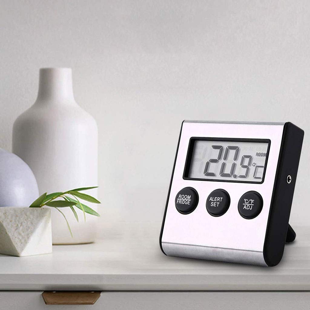 Room Thermometer - Temperature Alarm Dough